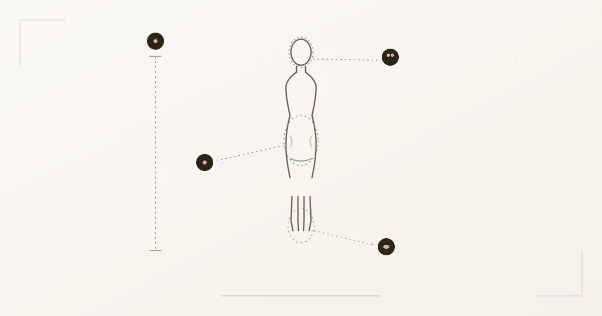 Diagramm der Soft-Classic-Linienanatomie: moderate Vertikale, symmetrische sanfte Schultern beidseitig, dominant harmonisch-weiche Kurve mit klassischer Symmetrie, elegante fließende Gliedmaßen